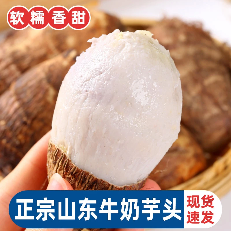 【进华专属】山东牛奶小芋头新鲜农家小香芋芋艿当季毛芋头软糯3斤