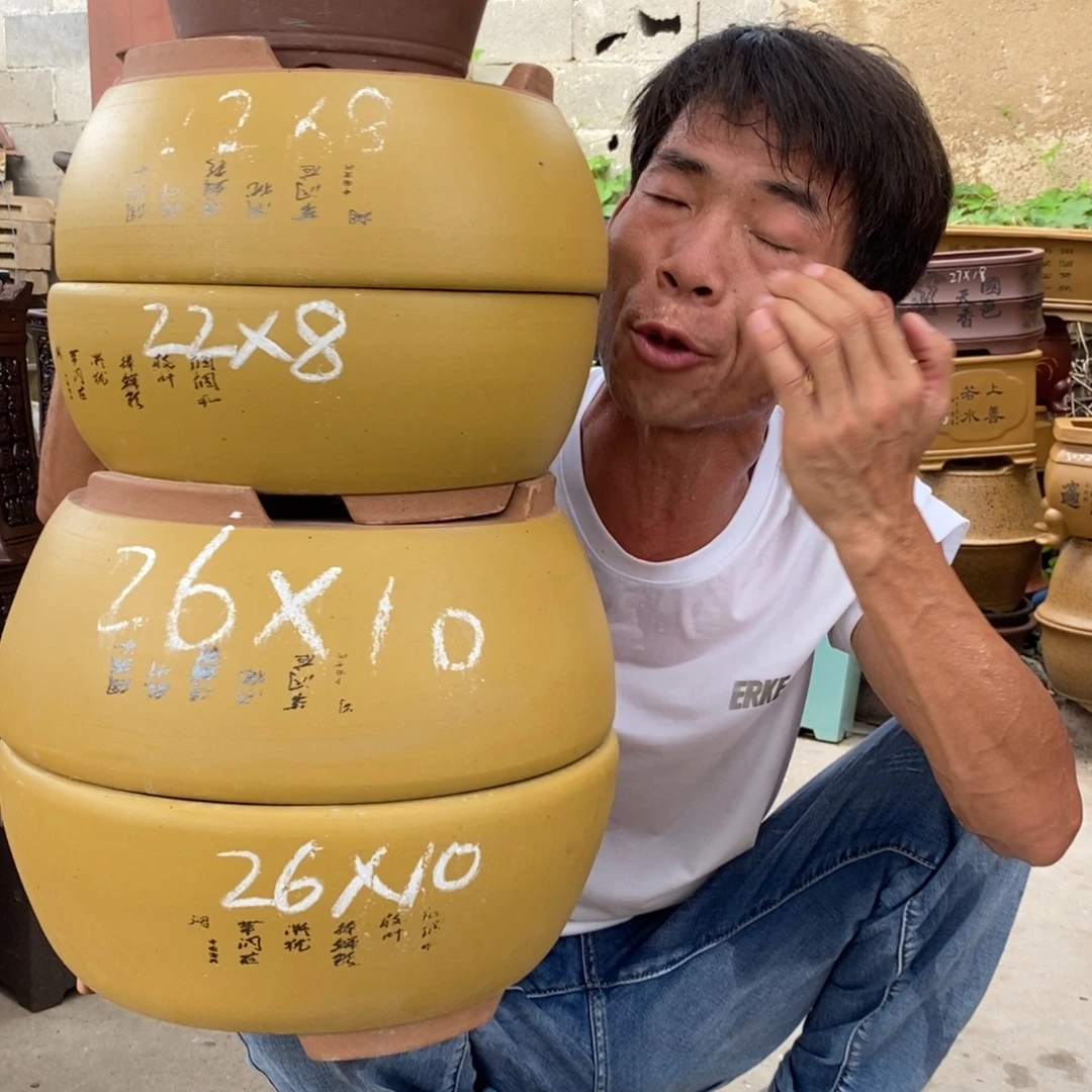 紫砂紫砂紫砂紫砂