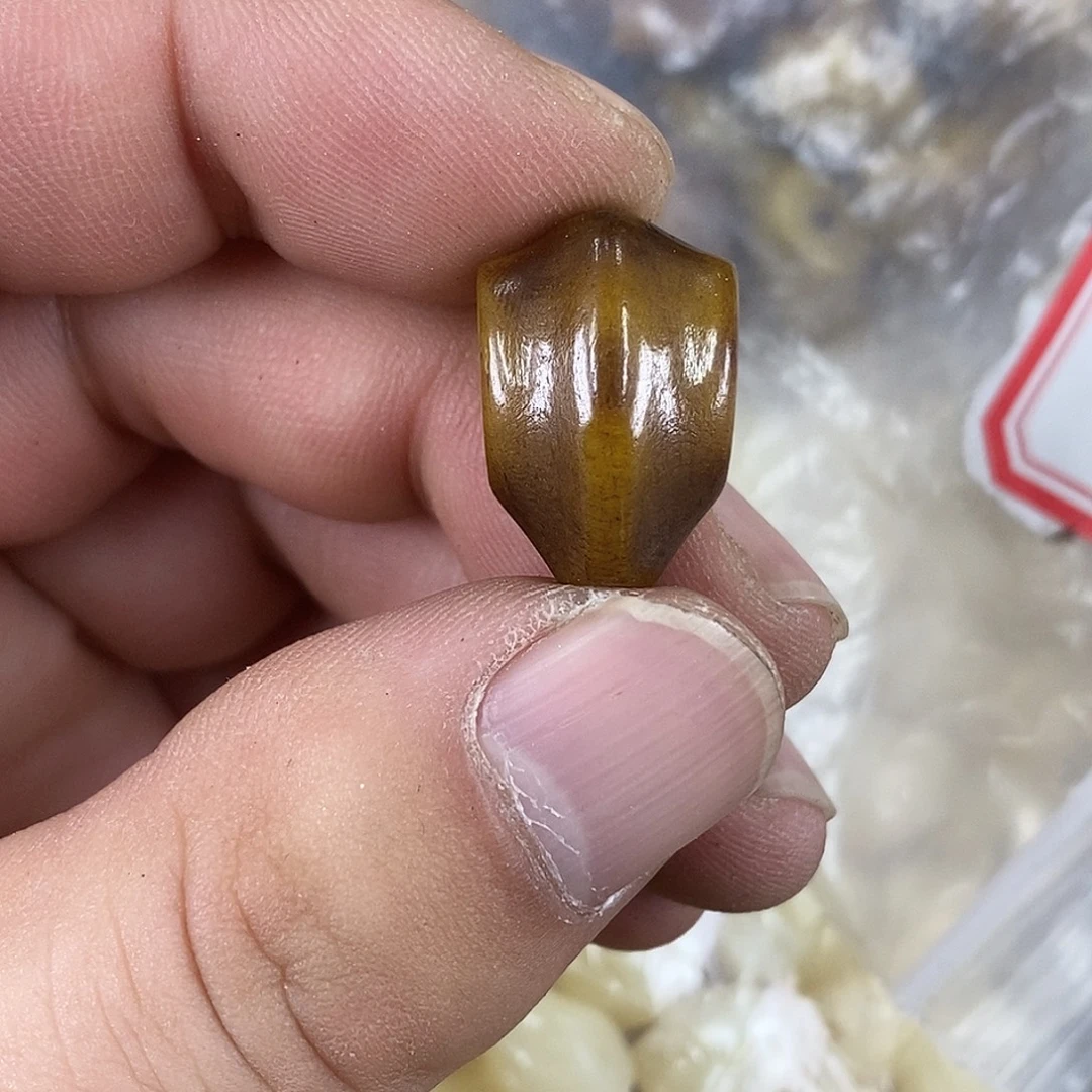 驼骨手串/手链配饰73尺寸1.4