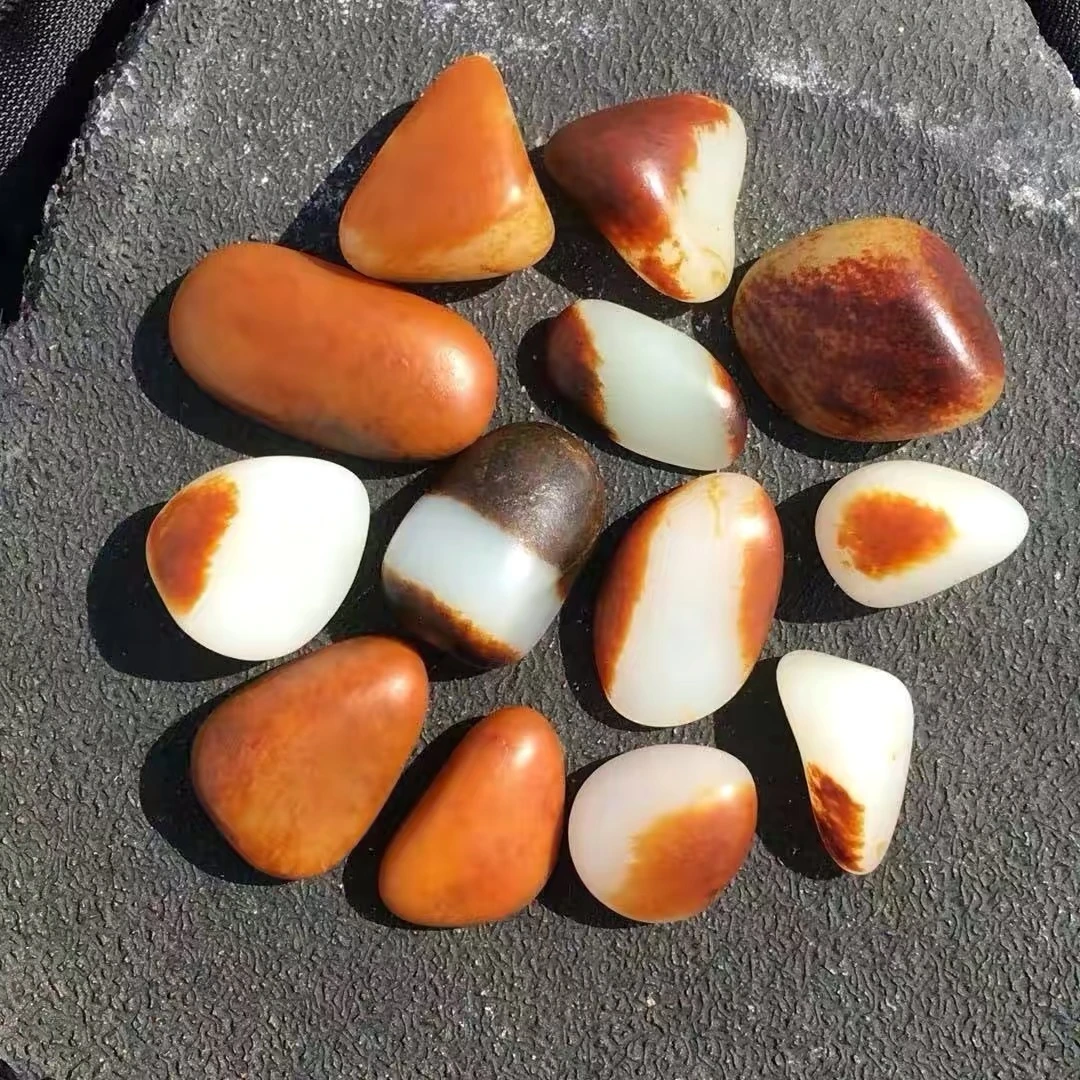 新疆和田籽石原石观赏石盆景石把件可收藏可把玩