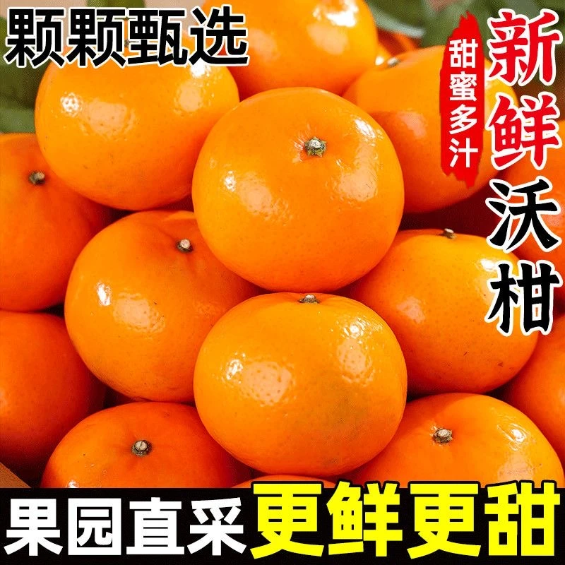 【正宗云南】高山沃柑新鲜水果桔子应当季一整箱包邮非丑橘贵妃柑