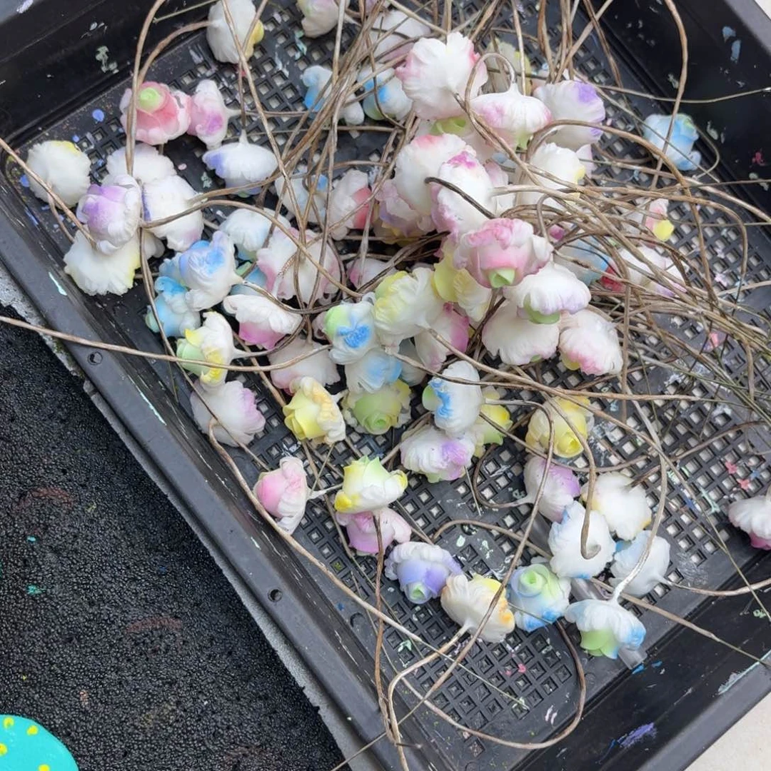 树脂制品1号噢噢噢哦哦