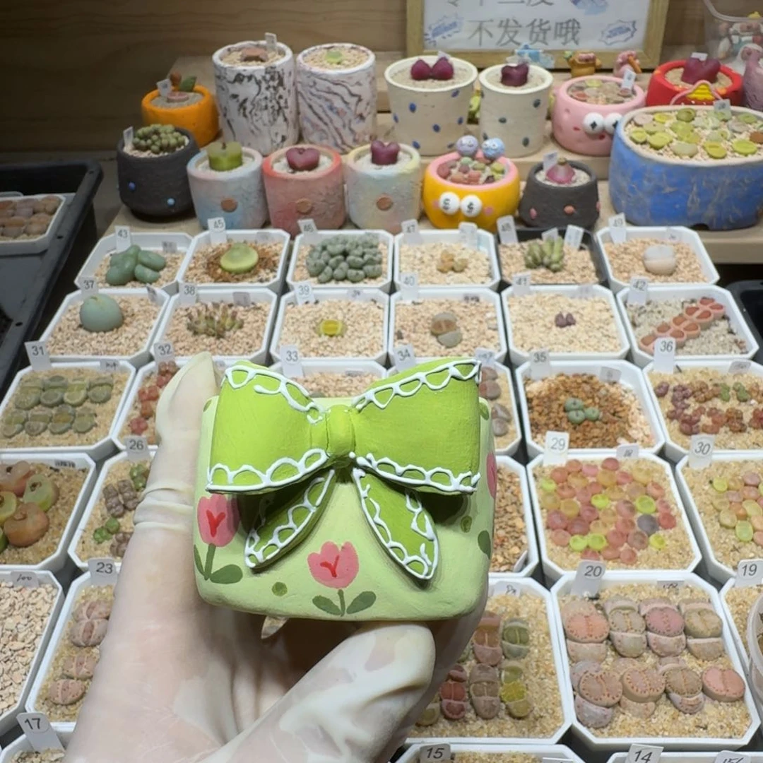 红陶煮**茶0221-41盆盆盆