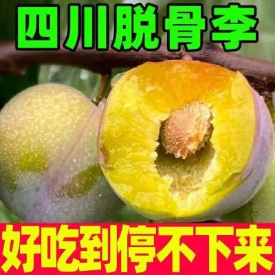 四川正宗脱骨半边红李子新鲜现摘脆甜多汁应季水果