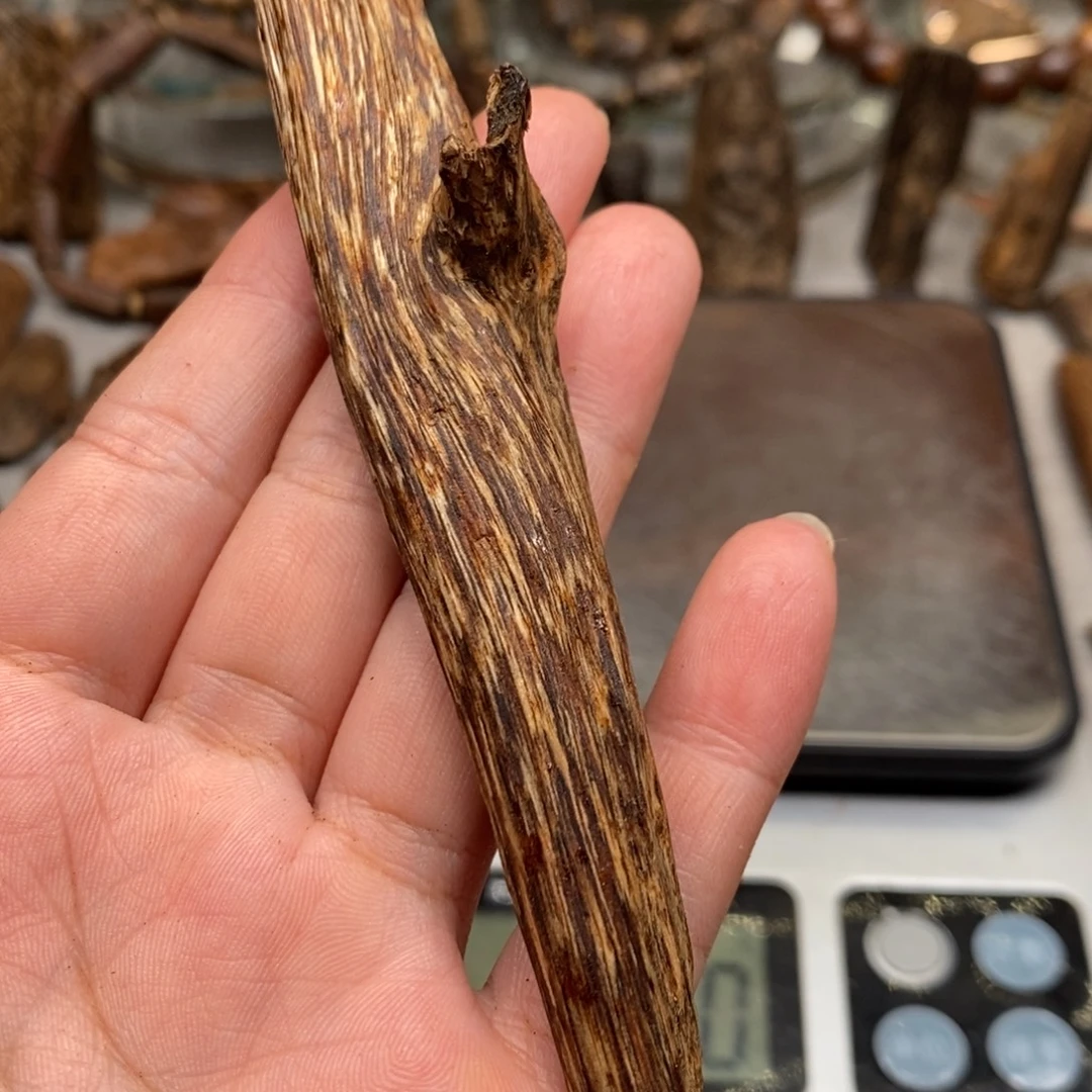 沉香沉香碎屑都蓬树心油
