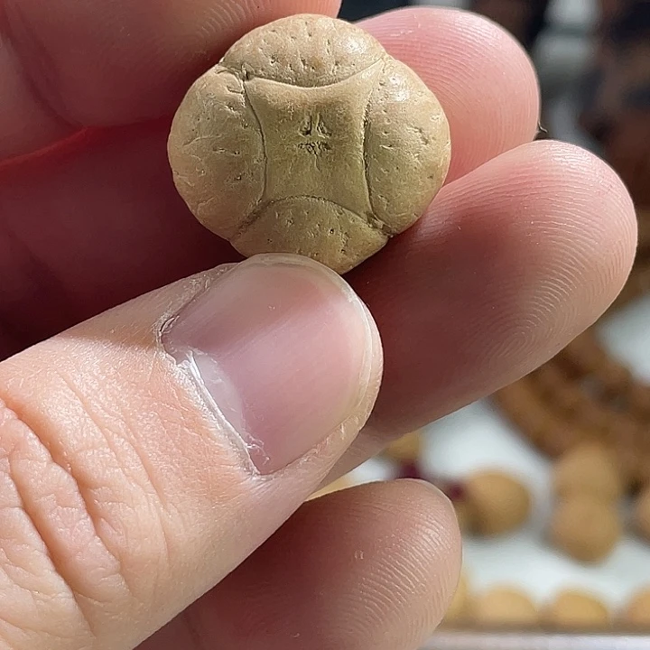 吊坠凤眼菩提尼泊尔小凤眼