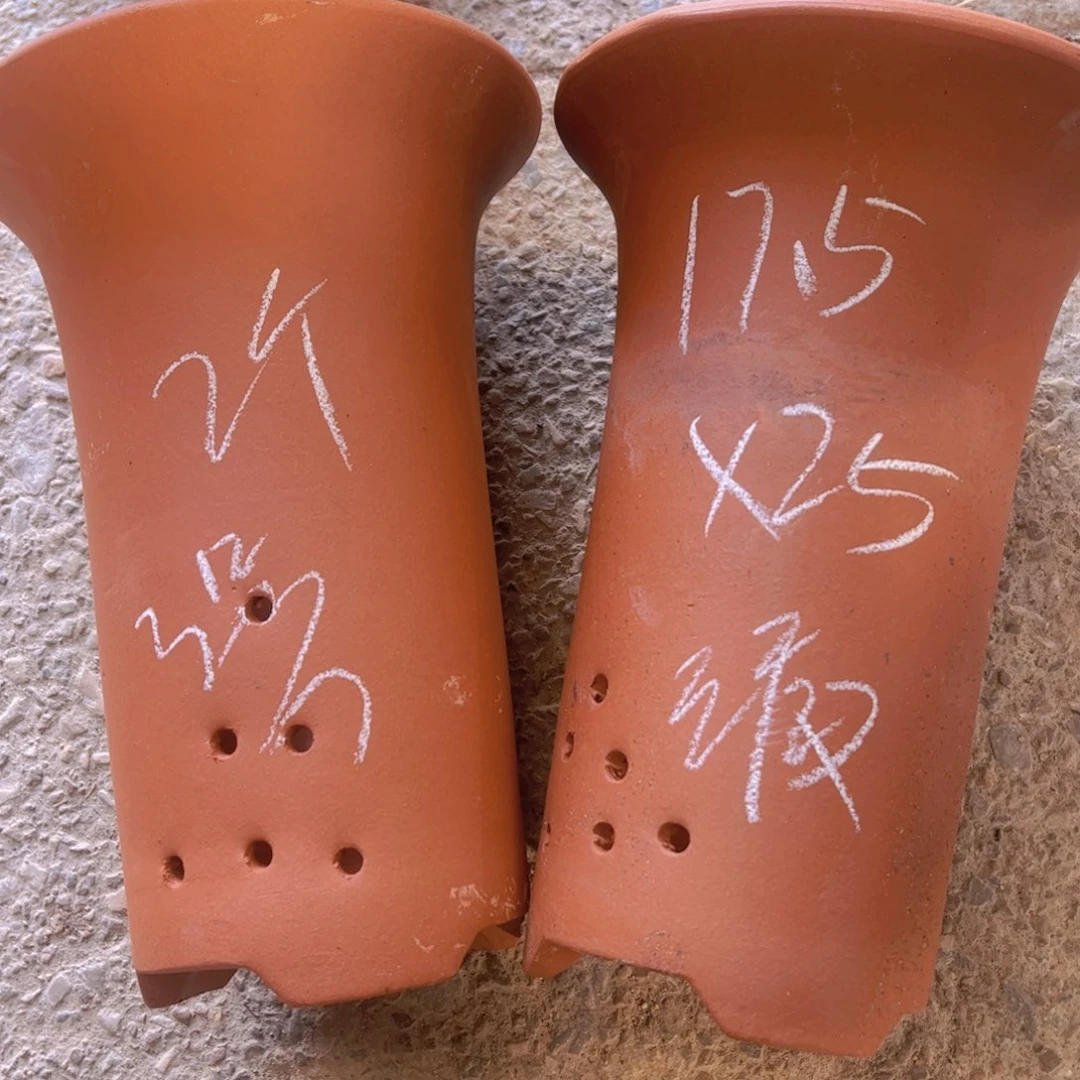 紫砂3号……………………………………