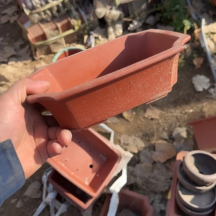 在这里可以说我们已经有足够一份感情