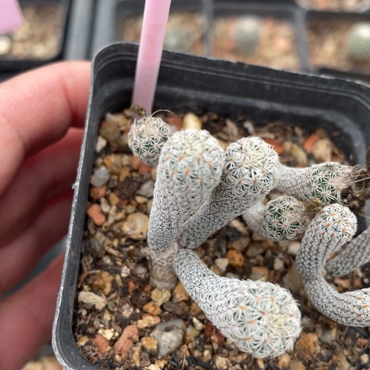 太****实生迷：你穆师2835-0000