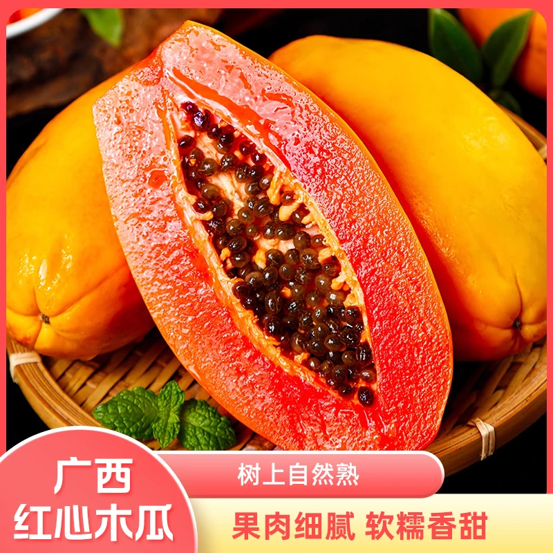 冰糖心木瓜 X树上熟红心木瓜 产地果园现摘现发