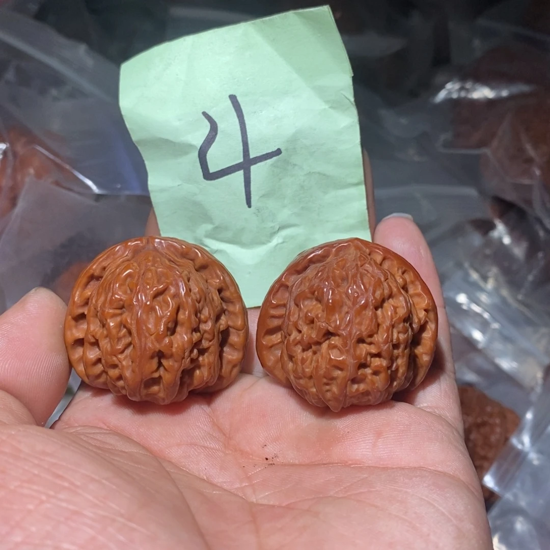 38白狮子。