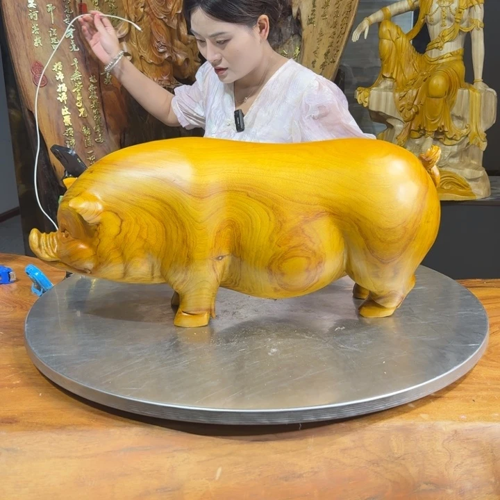 香樟木龙*长65厘米高30