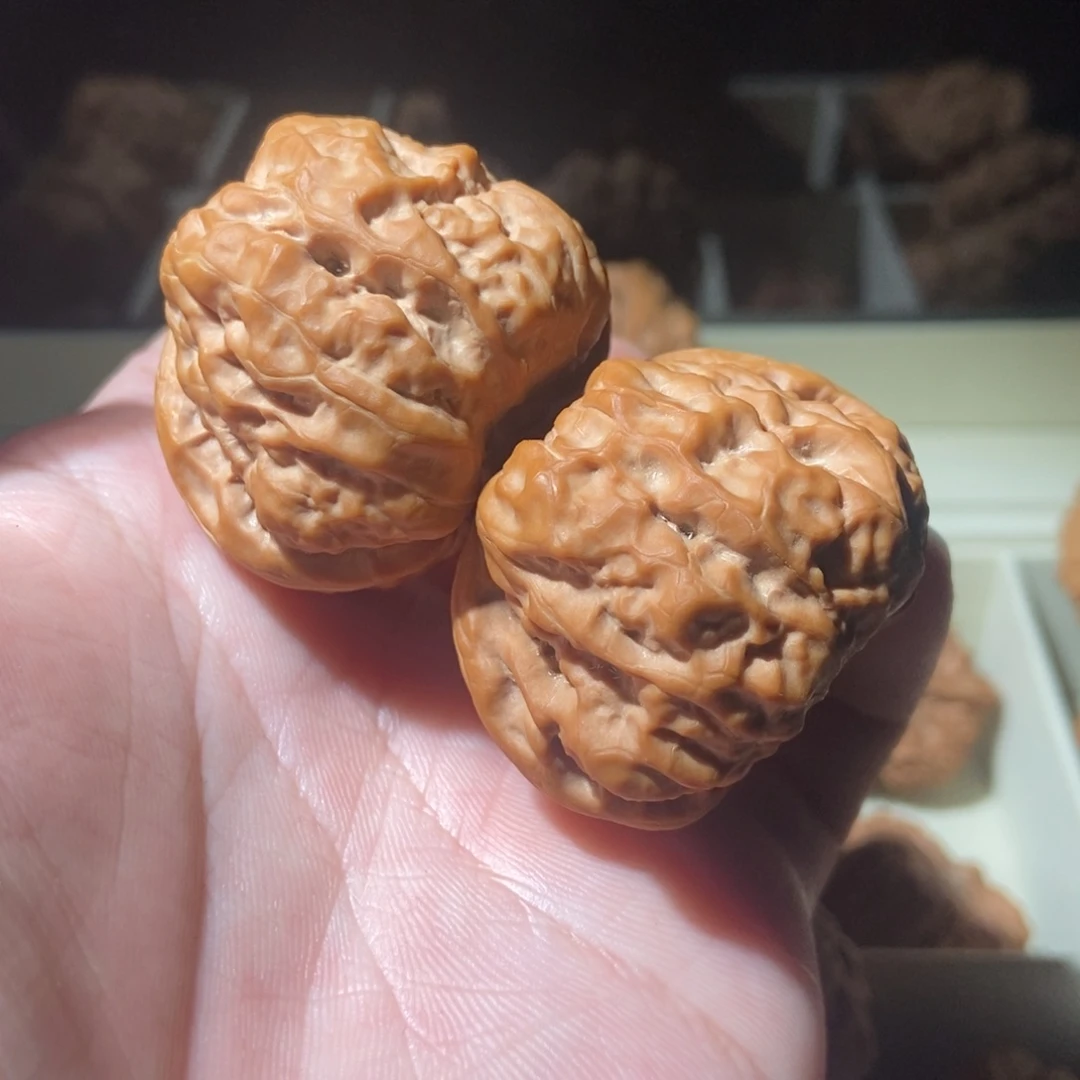 文玩核桃把件℡****42蛤蟆