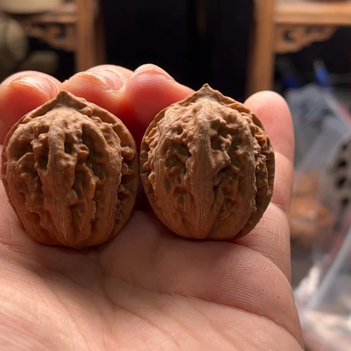 文玩核桃把件楸大胖1