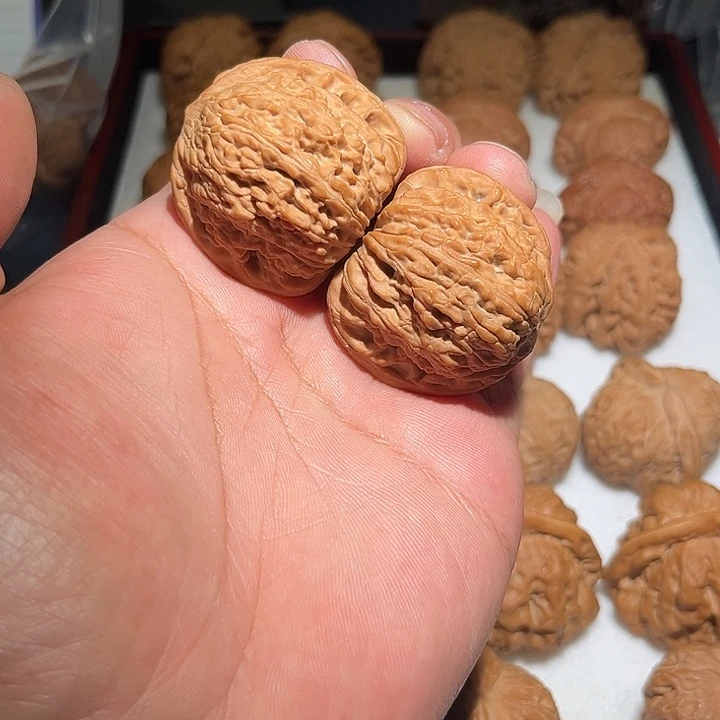 木41➕全品泥鳅背。