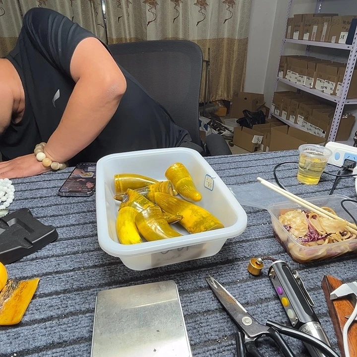 木缅甸花梨大果紫檀x28