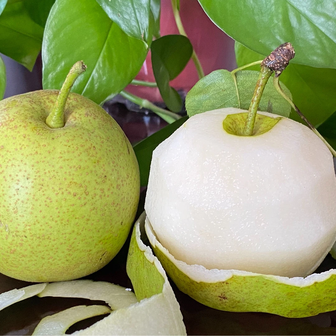 5斤滨海大套翠冠梨一盒9枚