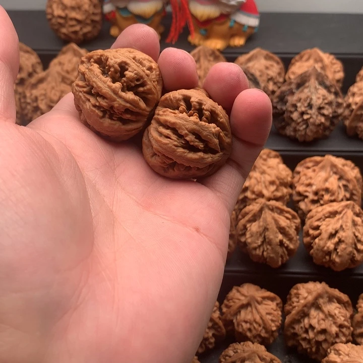 其他核桃逗****生秦岭的一