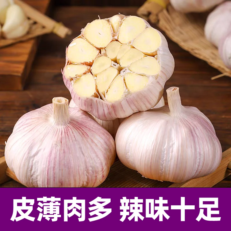 2025年新干蒜山东大蒜紫皮大蒜可种植蒜种5斤净重发货1斤三斤