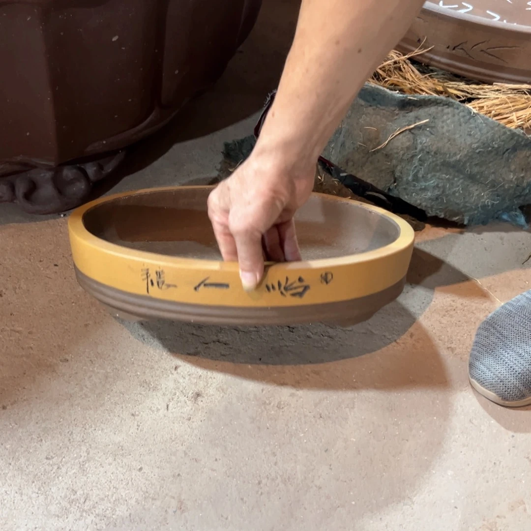 40口径腰圆水盆黄色一对