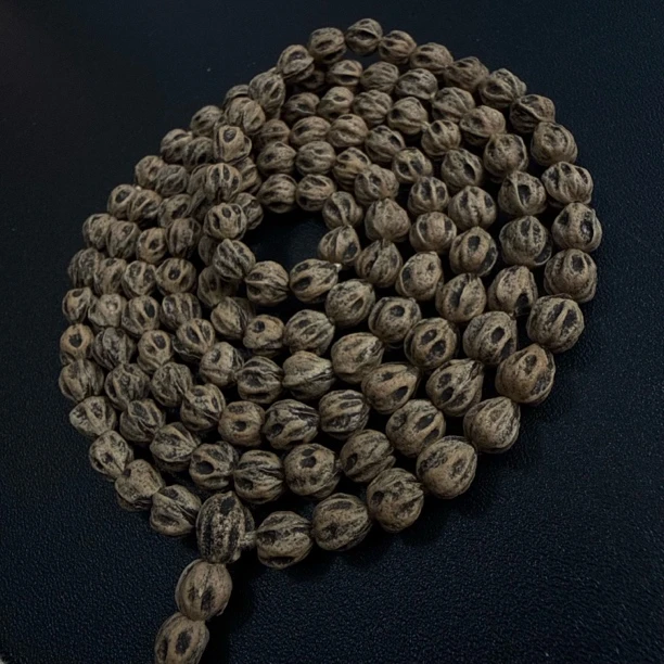 热振一哥《万王终结者1》定制级百香籽