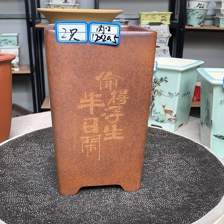 紫砂的花盆很漂亮