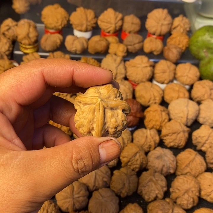 心***枫大叶紫檀（黑酸枝木类）