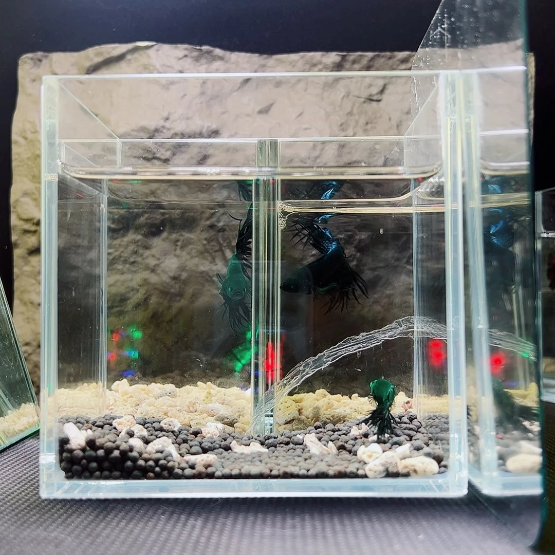 斗鱼精品精品精品精品精品