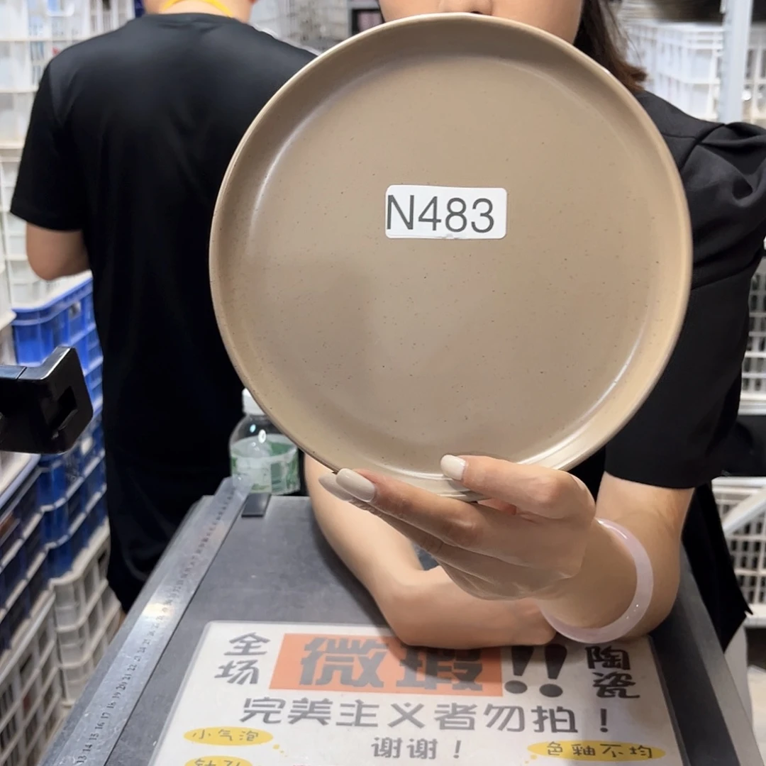 瓷片483              2个