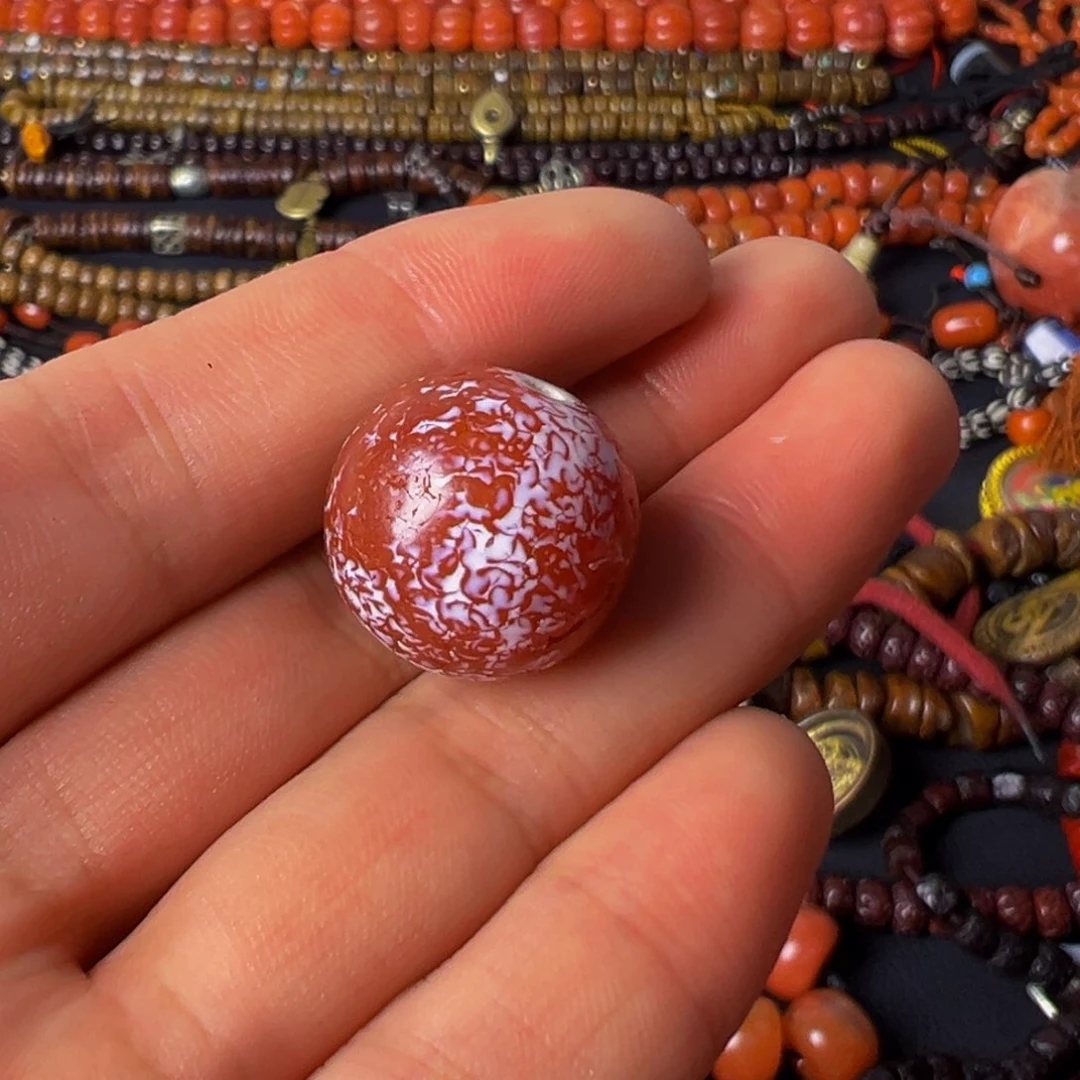 大果紫檀（缅甸花梨）浊****o