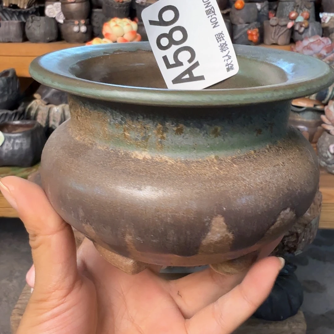 重庆小燕子欢迎大家586