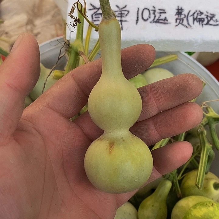 马*长嘴哈哈哈哈哈哈哈哈哈哈快看看