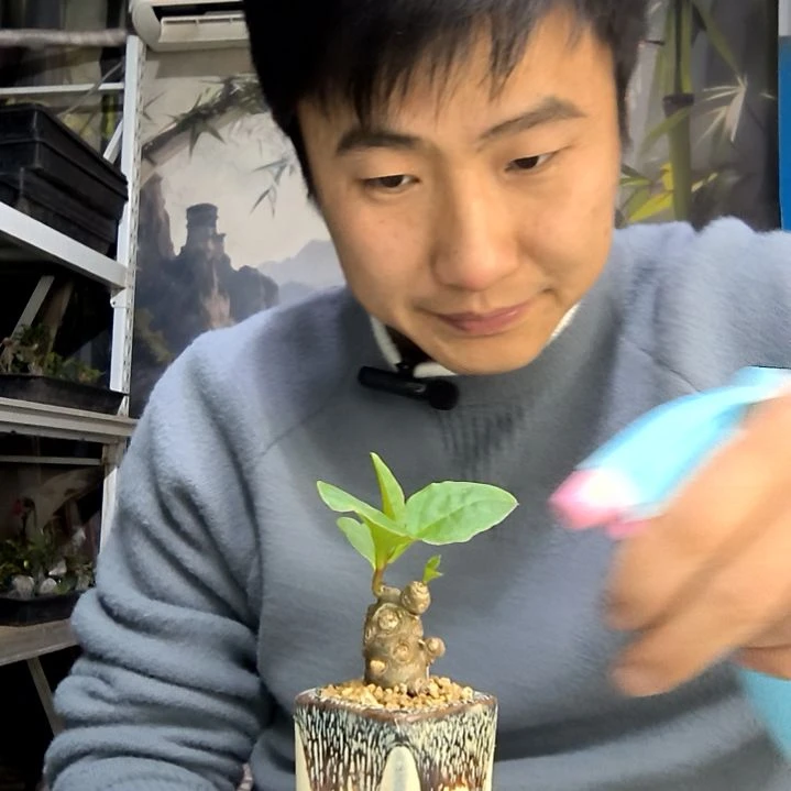 小***留中青园艺一物一拍花434