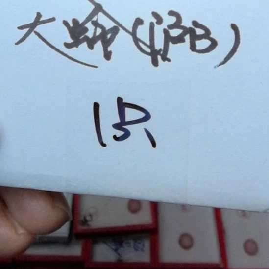 蟋蟀石志明沪B闷包漂亮