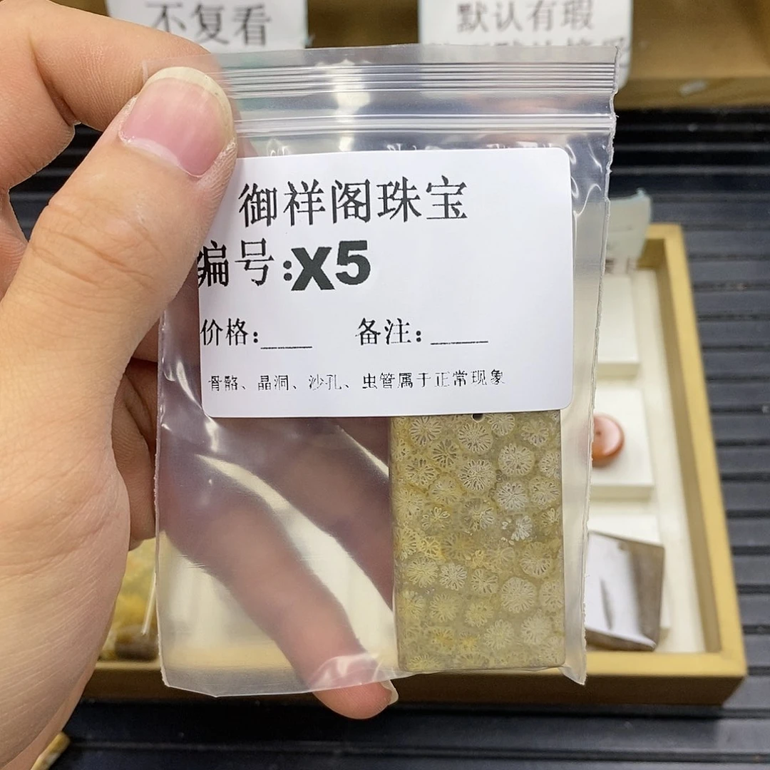 硅化珊瑚（珊瑚玉）未镶嵌颈饰不***友