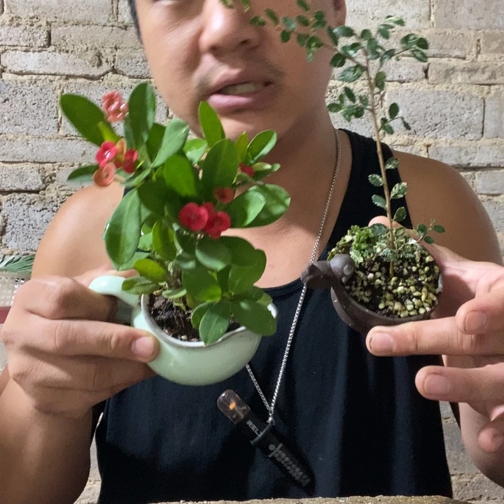 完全开放退款拉黑一物一拍174