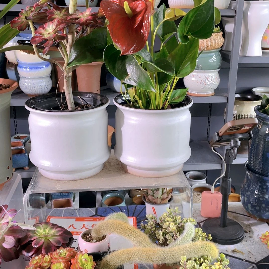 粗陶大号花盆两个装