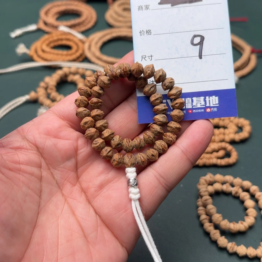 手串柏香籽/百香籽9号