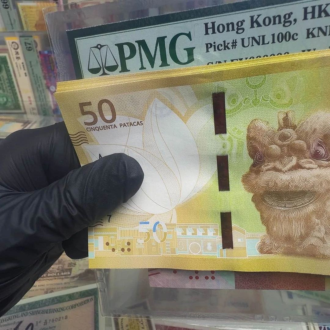 纸50狮子单张哈哈哈