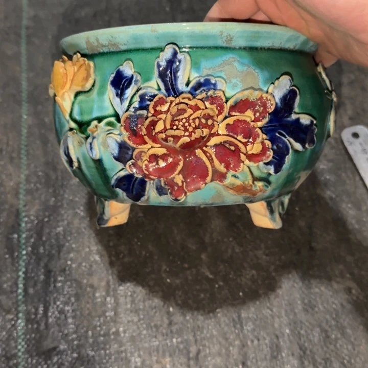 红陶年底最后一波玩的开心