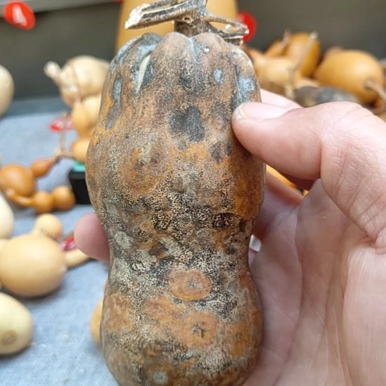 友****葫芦娃娃娃娃娃娃娃娃娃娃娃