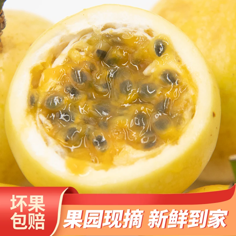 正宗广西钦蜜九号百香果（大果）果园现摘【消费帮扶甄选】