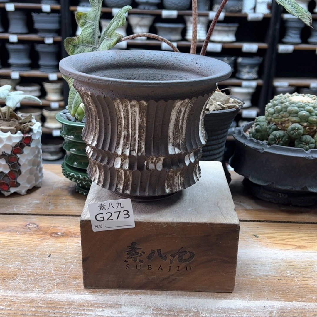 素八九陶瓷内口16高13.5