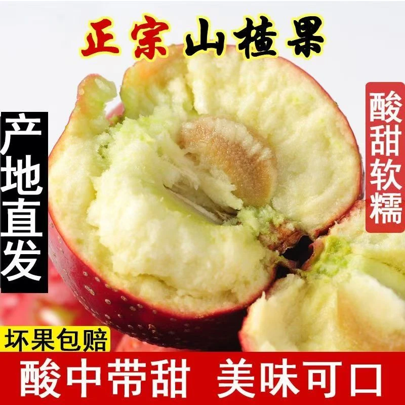 鲜果大金星山东沂蒙地区水果山楂糖葫芦山楂美食水果山楂批发