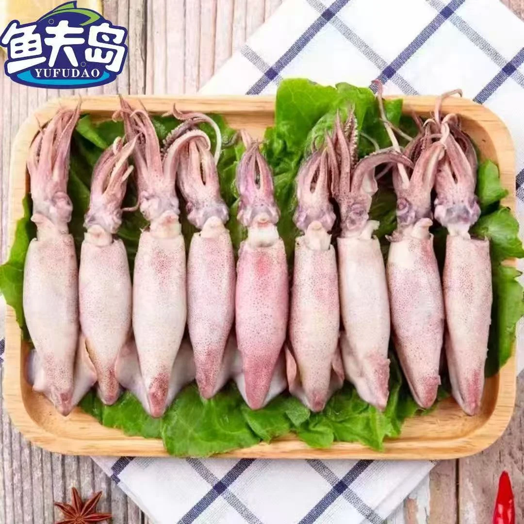 4盒* 250g/盒（40只）鱼夫岛熟冻籽乌带籽海兔