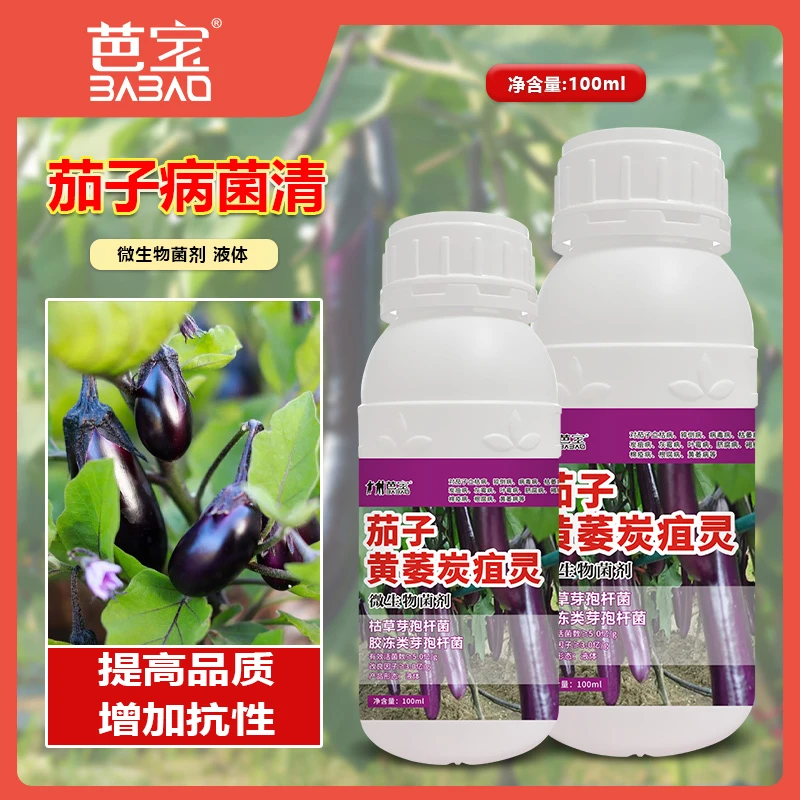 【PICC承保】茄子病害专用茄子病全治炭疽病菌核病绵疫病枯萎病黄叶