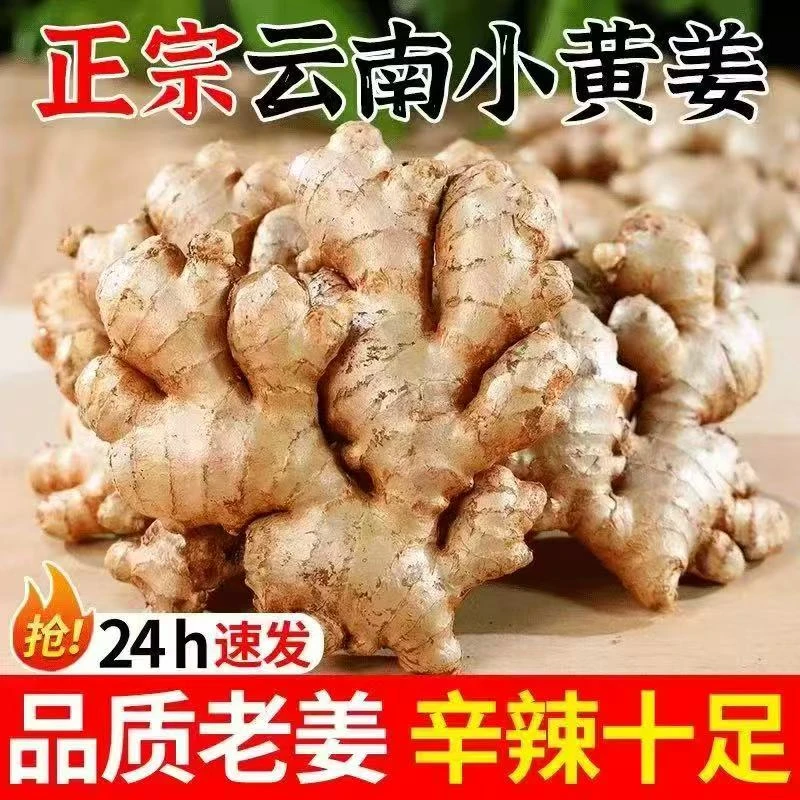 【大山】正宗云南小黄姜辛辣新姜新鲜现挖山地种植生姜产地直销