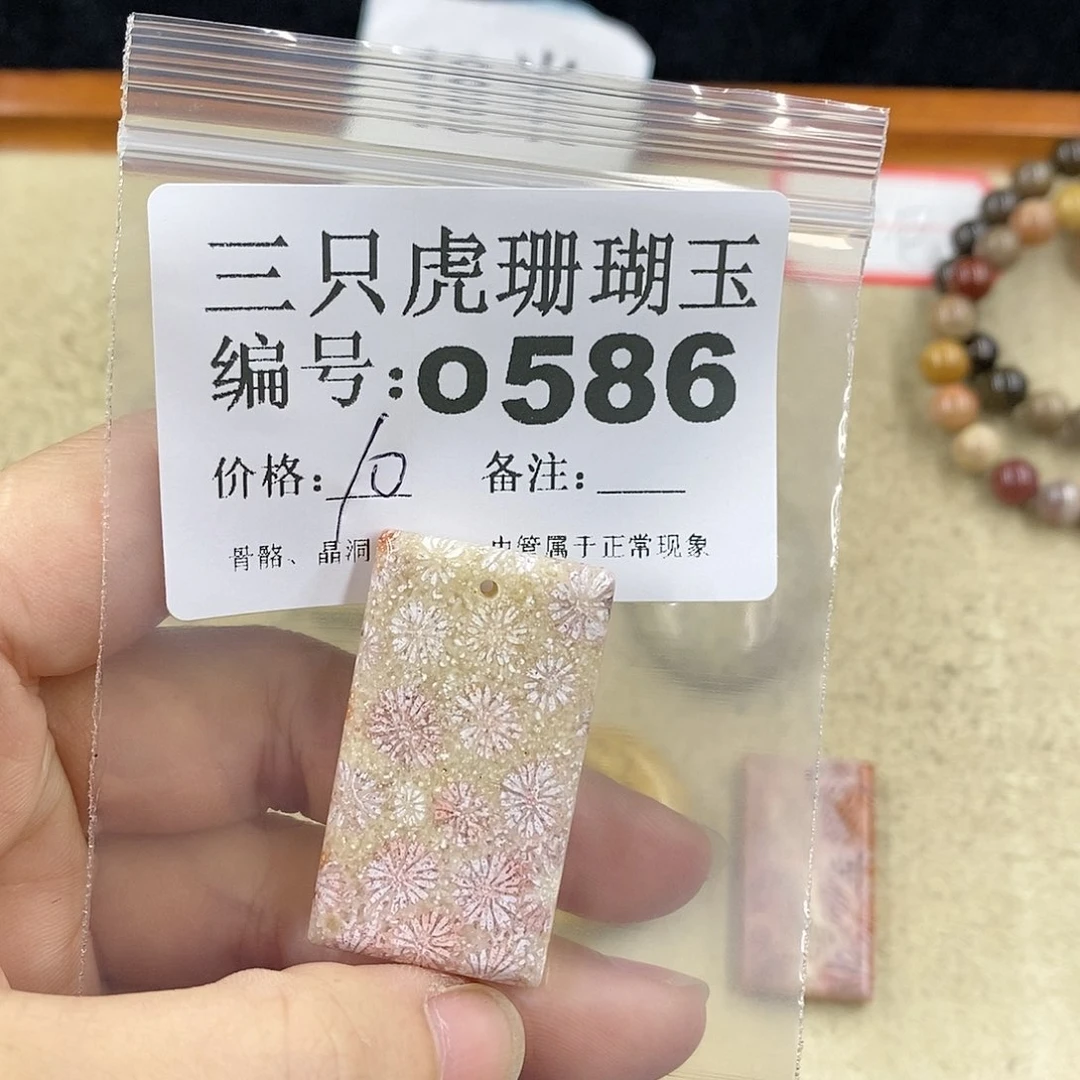 硅化珊瑚（珊瑚玉）1未镶嵌y****e