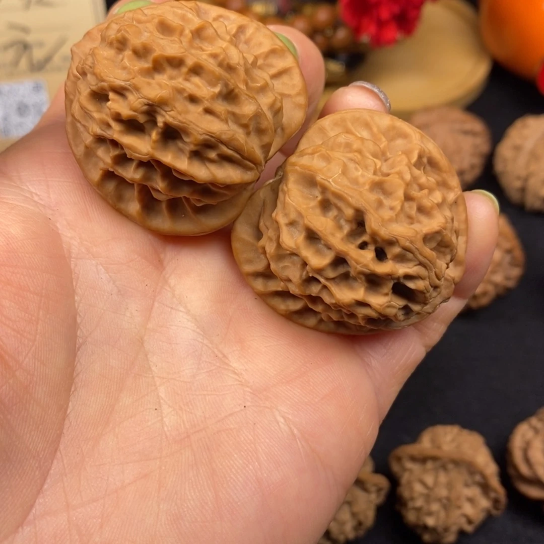 全*敌秦岭南风的故事是