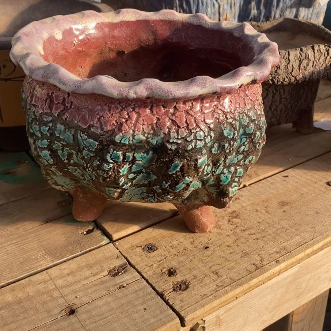 63号多肉盆口径14